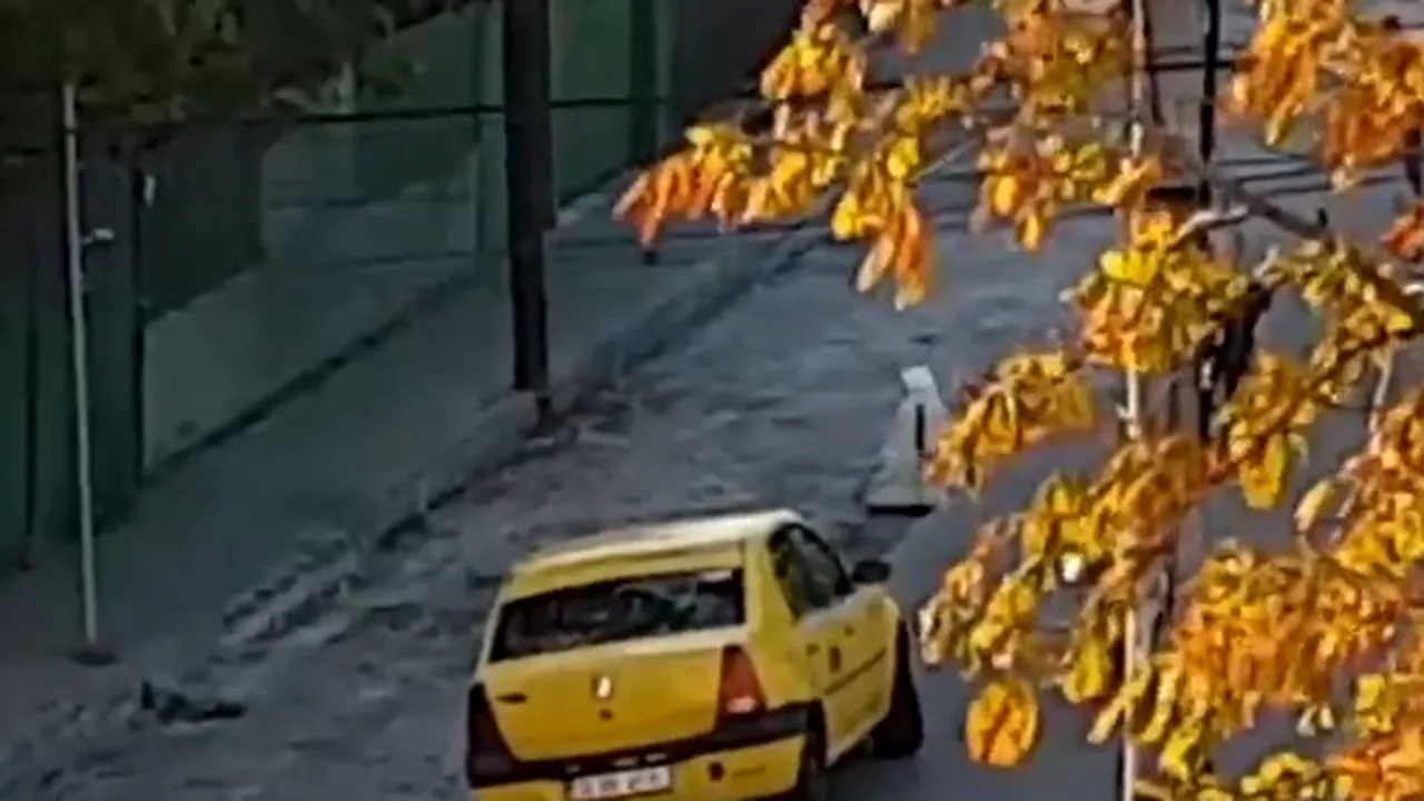 Poza 1