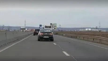 Ai Passat, şicanezi şi suferi de lipsă de atenţie? Poţi să ajungi vedetă [VIDEO]