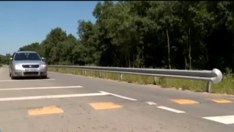 În România există un drum gândit pentru a proteja animalele sălbatice. Ce spun şoferii. VIDEO