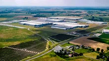 Volkswagen a angajat 100 de oi pentru o misiune neobișnuită. De ce a apelat compania la această soluție