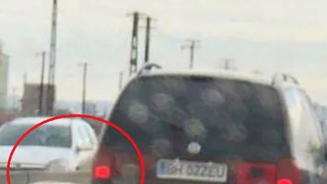 Cum se transportă porcul de Crăciun în 2017 - FOTO