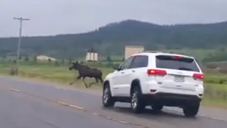 Un accident dur care ne arată de ce este important Testul Elanului - VIDEO