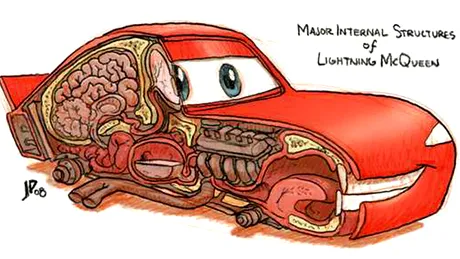 Unde pui într-o maşină ficatul, inima, creierul, sângele sau coloana vertebrală?