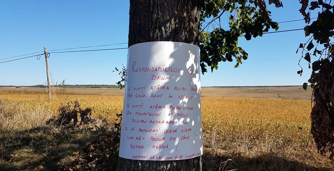 Protest inedit: Şoferii din Botoşani, exasperaţi de starea proastă a drumurilor, au trecut la blesteme scrise pe copaci