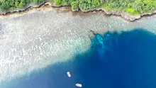 Descoperirea misterioasă care ar putea RESCRIE istoria evoluției umane. E un instrument vechi de 1,5 milioane de ani
