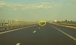 Mașină filmată pe contrasens, pe autostrada A1. Ce amendă au dat polițiștii – VIDEO