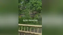 Potop în România. Intervenții de urgență în zeci de localități din 12 județe. Locuințe izolate, drumuri blocate, alunecări de teren. Imaginile dezastrului / Noi alerte meteo