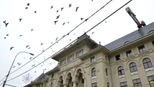 Cine va fi primarul Bucureștiului după ce Nicușor Dan a câștigat alegerile prezidențiale?