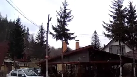 UPDATE. Şoferul agresiv ”pus la punct” de doi tirişti ”recidivează”. VIDEO.