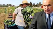 Fermierii anunță un protest uriaș împotriva Guvernului Bolojan! „Agricultura riscă un colaps generalizat”
