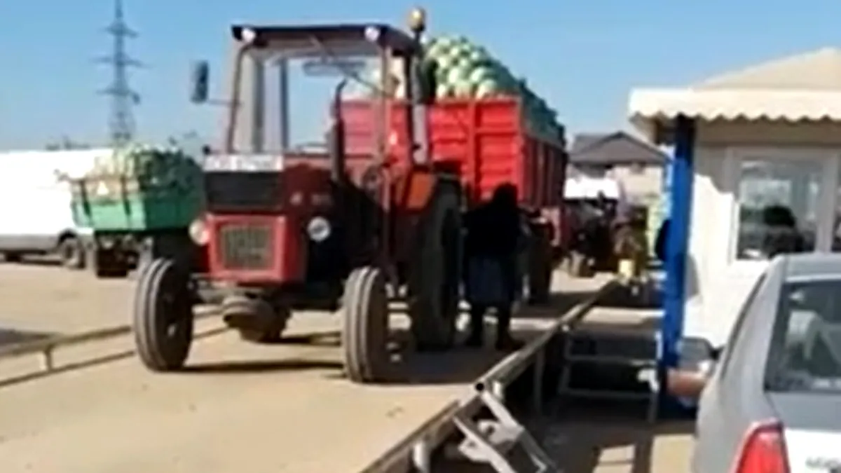 Bunica tractoristă. Video viral cu femeia de 76 de ani care conduce un tractor