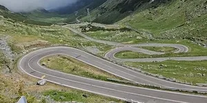 Video – O ursoaică a smuls bara unei mașini pe Transfăgărășan. Traficul a fost blocat de turiștii care voiau să vadă urșii