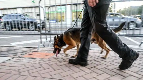 Poliția de Frontieră cumpără trei autospeciale pentru transportul câinilor de serviciu