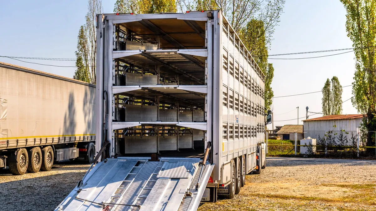 Serviciile de transport animale trebuie sa beneficieze de toată atenția!