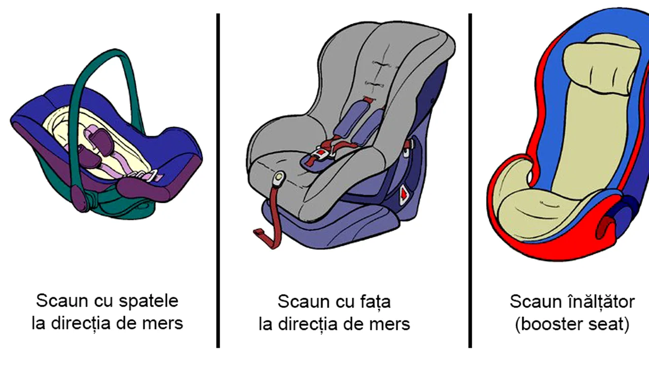 Poza 1