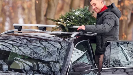 TOP 5 decorațiuni auto care te lasă fără talon. Coarnele de ren și crengile de brad, printre ele
