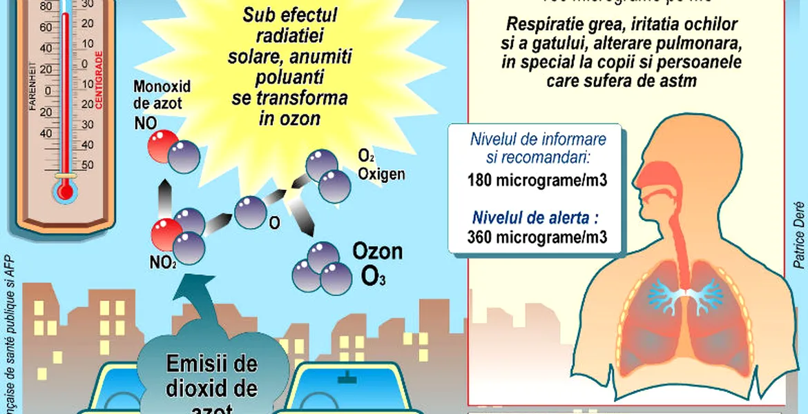 Studiu: motoarele diesel pot duce la dispariţia albinelor, poate şi a vieţii!