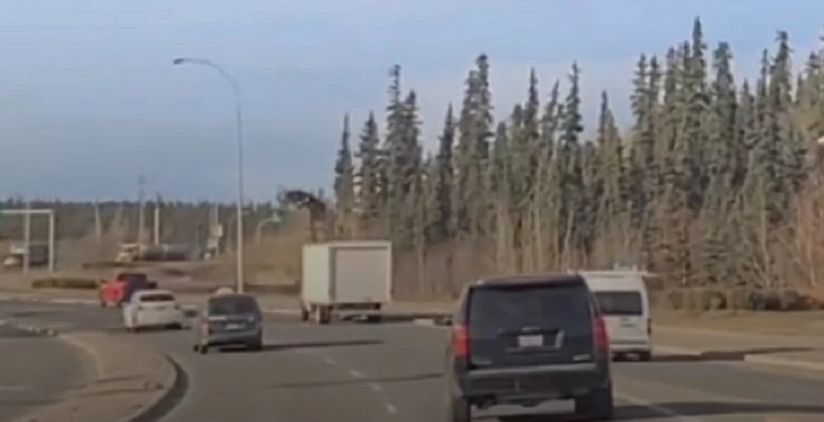 VIDEO. O femeie trebuie să parcurgă 500 de km cu mașina până la cel mai apropiat supermarket