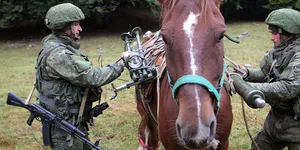 Cavalerie reală în loc de tancuri: Rusia prezintă „drona ecvestră” – un cal cu terminal Starlink. Invenția luptă alături de tancul „păpădie”