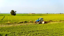 Sistemul antiGRINDINĂ naște dispute! În lipsa unui Guvern cu puteri depline, programul nu poate fi aprobat. Viticultorii cer salvarea culturilor