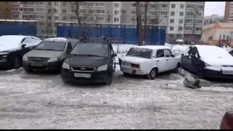 Nu există ceva care să te lecuiască mai bine de măgărie (video)