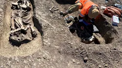 Rămășițele unui călăreț și ale calului său, descoperite pe șantierul Centurii Timișoara Vest