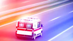 Un copil s-a născut într-un autobuz din Italia. Șoferița și două pasagere au ajutat-o pe mamă să nască