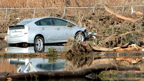 30% din producţia auto mondială afectată de cutremurul din Japonia