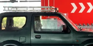 2025: Ce pățești dacă lași cățelul în mașină pe caniculă. Ai voie să spargi geamul mașinii pentru a salva animalul?
