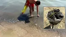 Alertă la Marea Neagră! Ce s-a descoperit în apa din zona unor plaje populare! Turiştii, sfătuiţi să nu facă baie