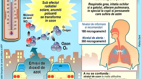 Studiu: motoarele diesel pot duce la dispariţia albinelor, poate şi a vieţii!