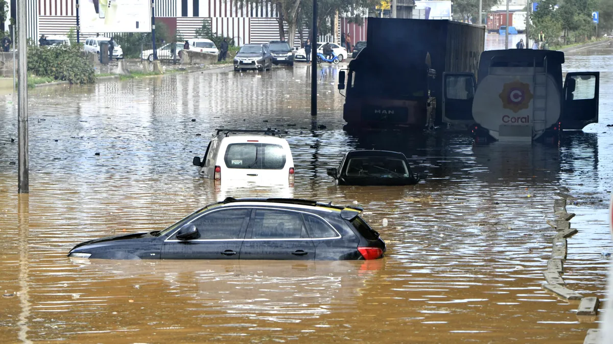 2025: Dacă a intrat apă în mașină, o mai poți folosi? Sfaturi utile și lucruri de evitat