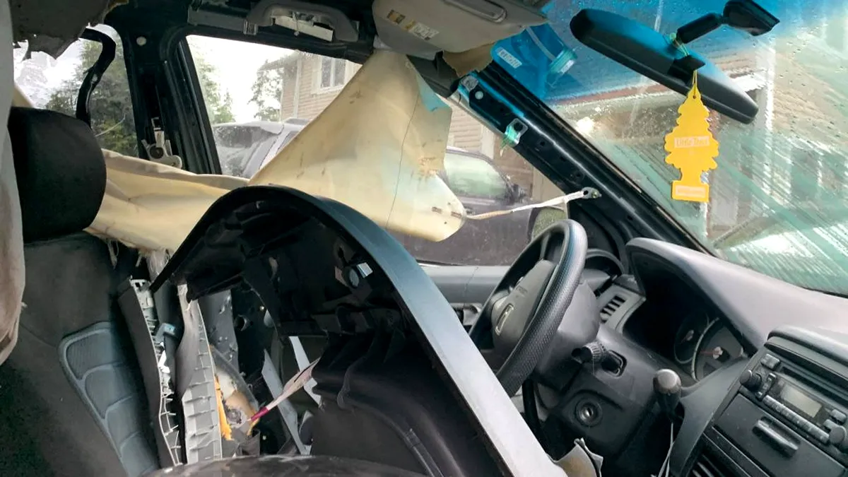 Un urs a intrat în maşina unui livrator de pizza. Cum arată mașina devastată de urs - FOTO