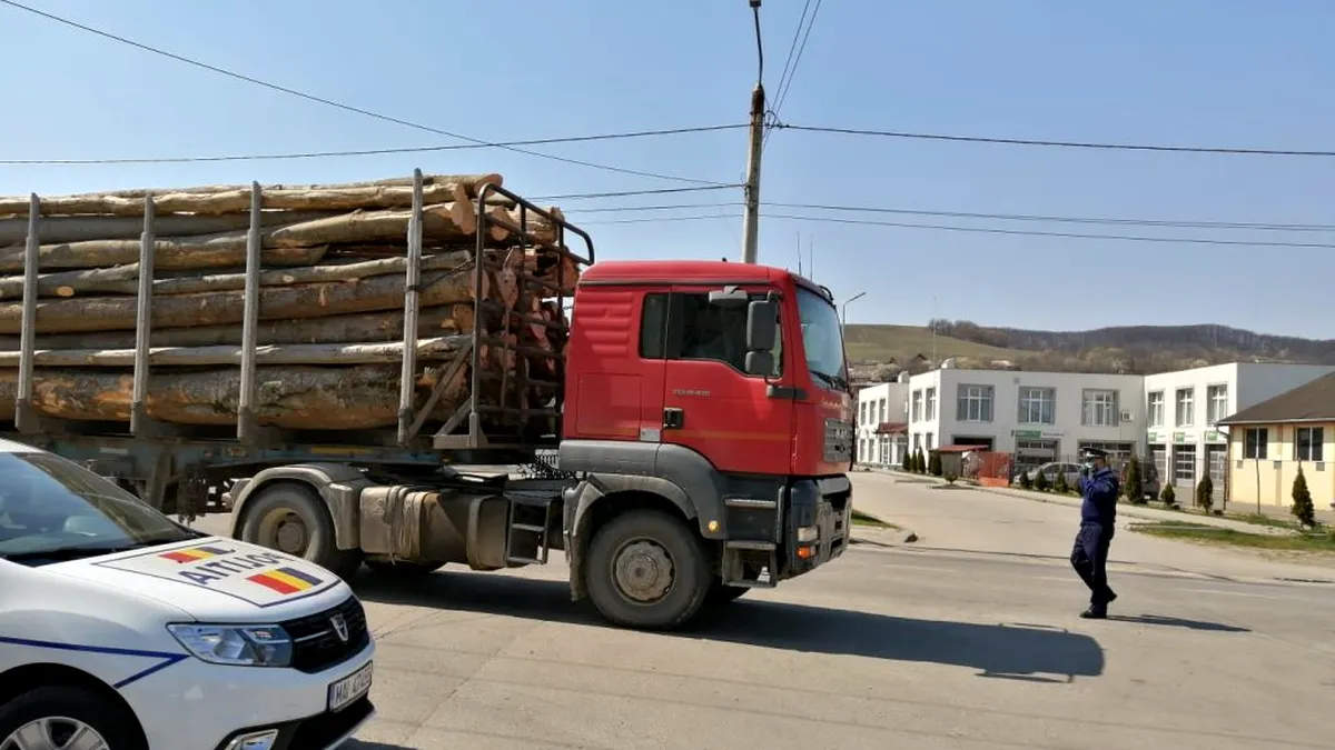 Ce fac autoritățile în țara în care pădurile se plimbă cu camionul?