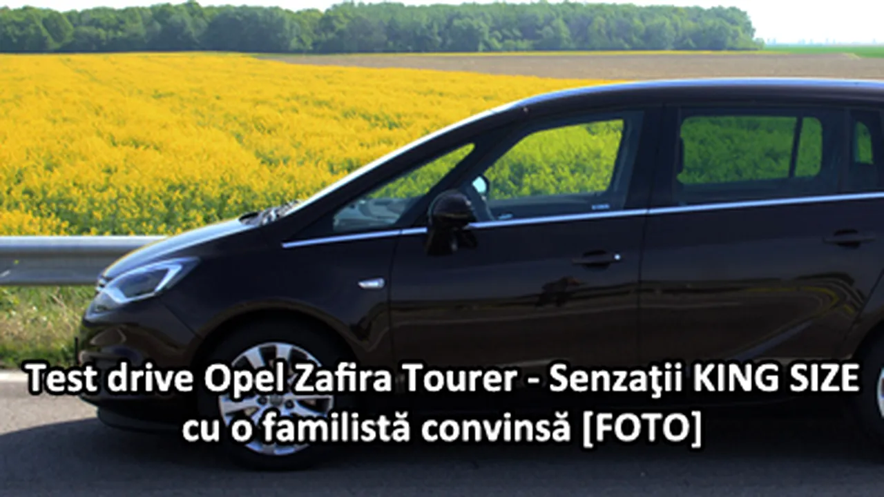 Poza 1