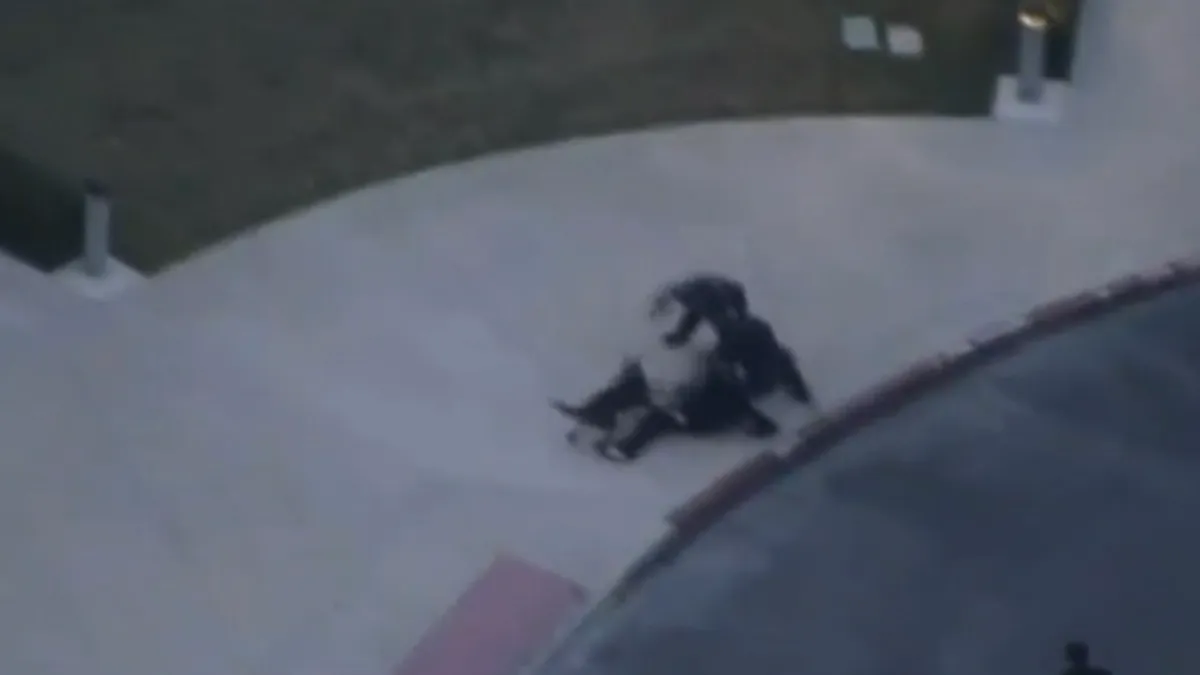 Duşmanul hoţilor de maşini atacă - VIDEO