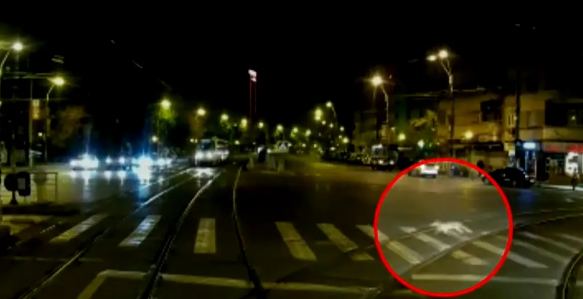 O vulpe a fost filmată în timp ce „traversează regulamentar” un bulevard din București – VIDEO