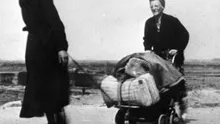 Iarna în care un popor întreg a mâncat bulbi de lalea