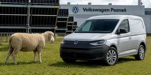 Asta da reorganizare: VW și-a „concediat” mașinile de tuns iarba și a „angajat” 100 de oi!