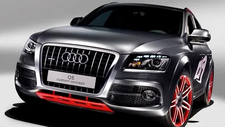 Audi Q5 Custom Concept Worthersee Tour 2009