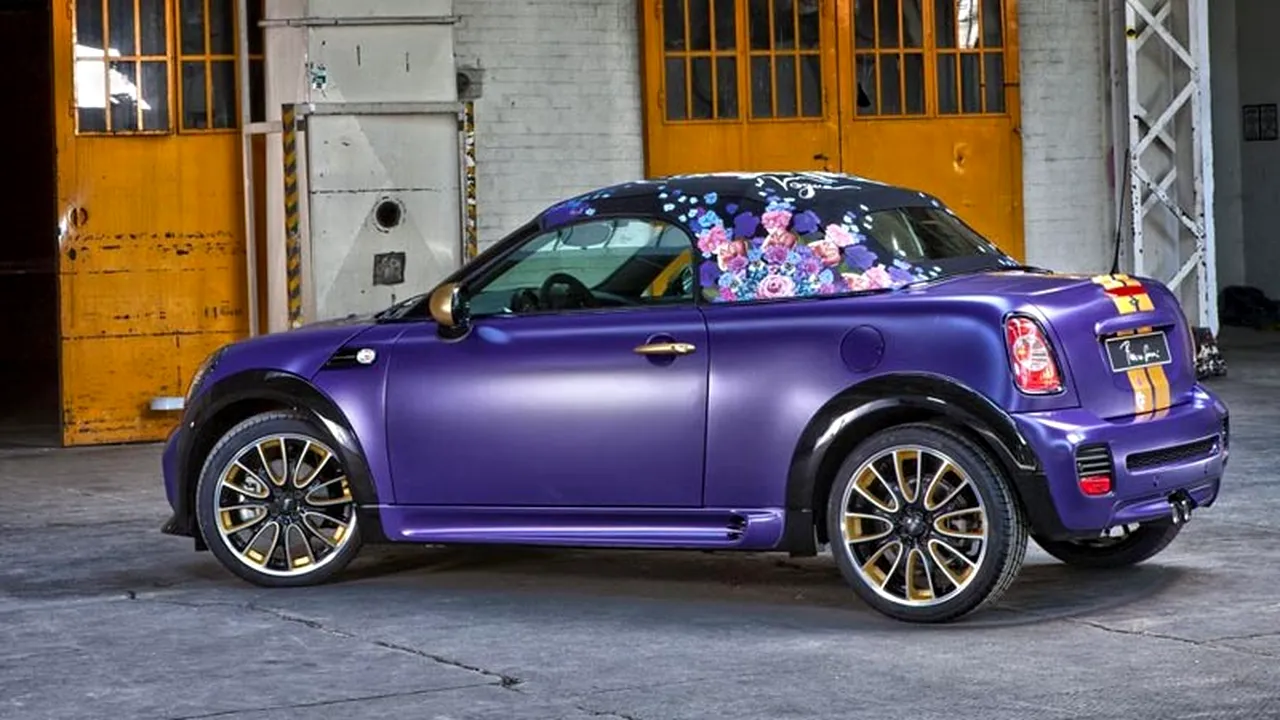 1-mini-roadster-franca-sozzani-0 