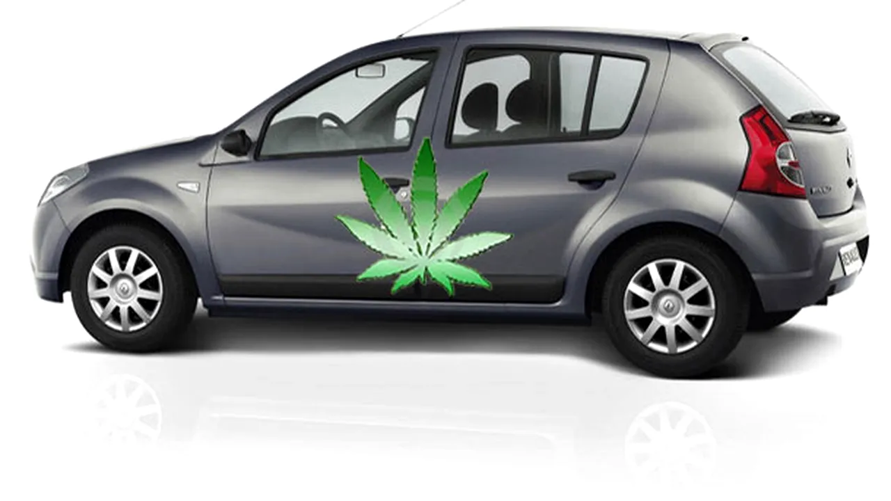 3-renault-sandero-03 