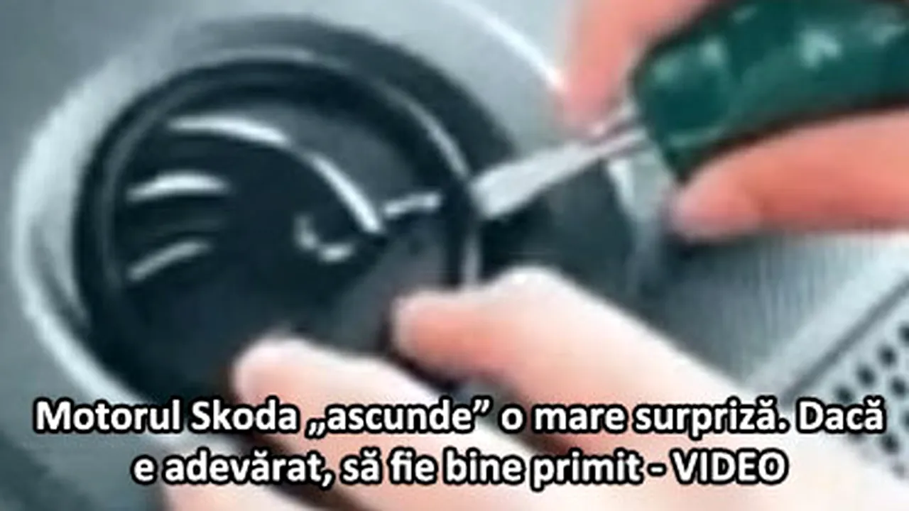 Poza 1