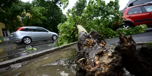 Mașină avariată de pomi, acoperiș sau indicatoare rutiere smulse de furtună: cine plătește? Cum obții despăgubiri în 2026