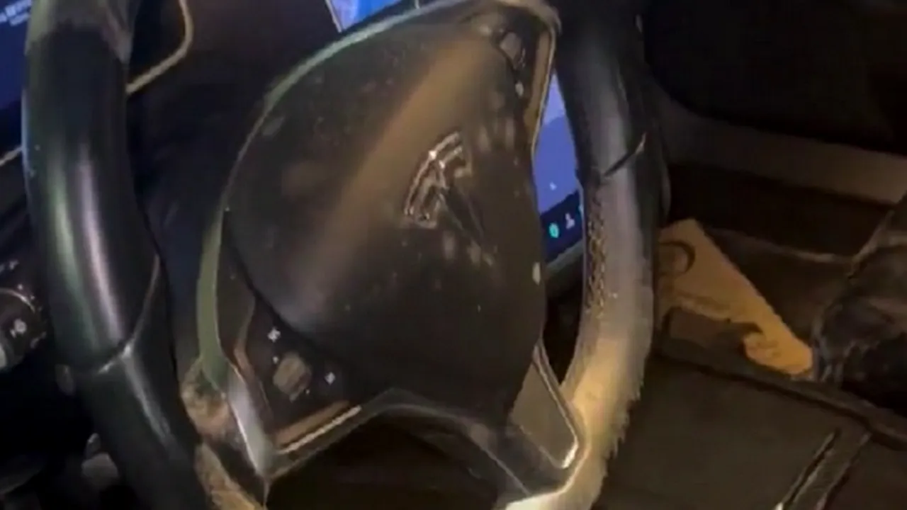 interior tesla putrezit 