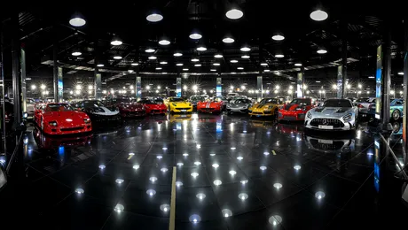 Modelele provenite din această țară lipsesc din colecția lui Țiriac (cu video)